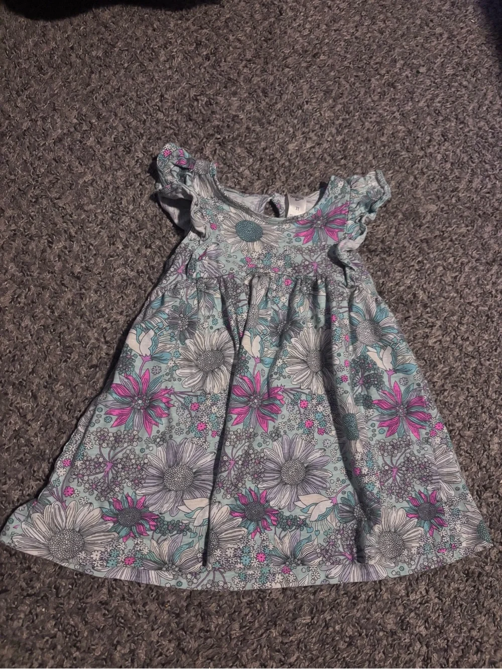 2 piece Girls floral print ruffle sleeve shirts
